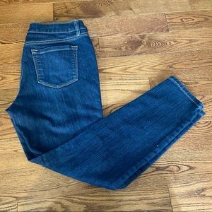Ann Taylor Loft Womens Blue Jeans 